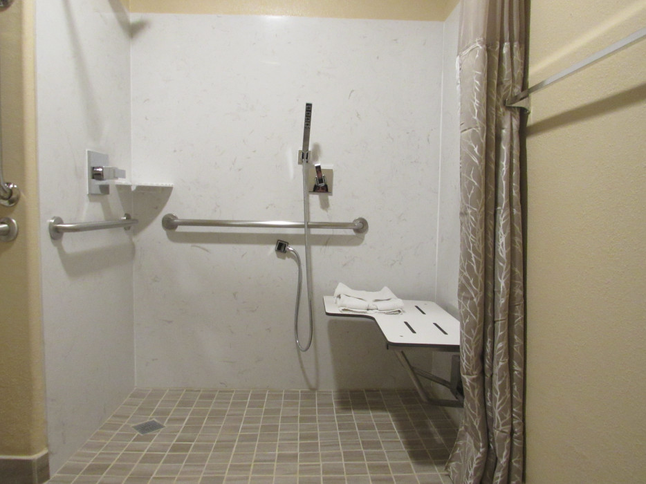 Accessible Roll-In Shower