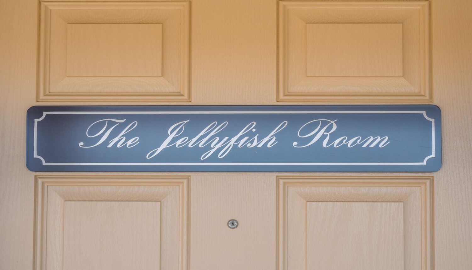 The Jellyfish Room